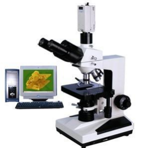 上海締倫三目相襯顯微鏡CPH-200